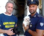 forestale venezia salva 106 cuccioli